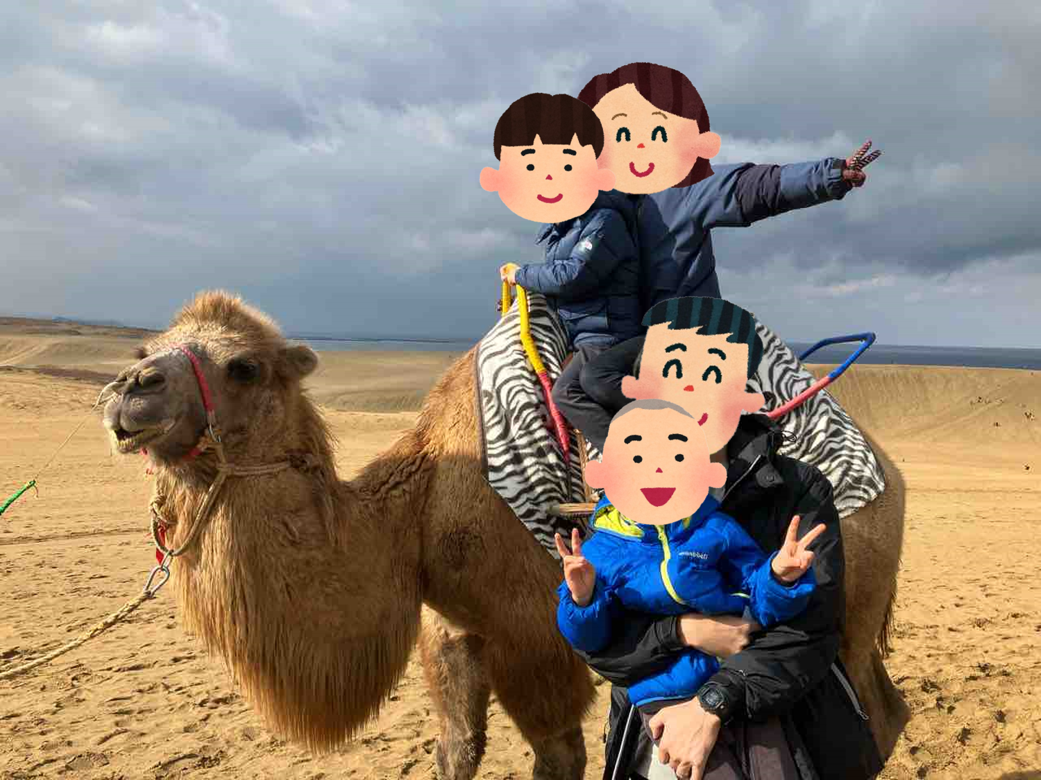 【鳥取砂丘】子連れで砂漠へ！小学生・幼児とラクダに乗りました！