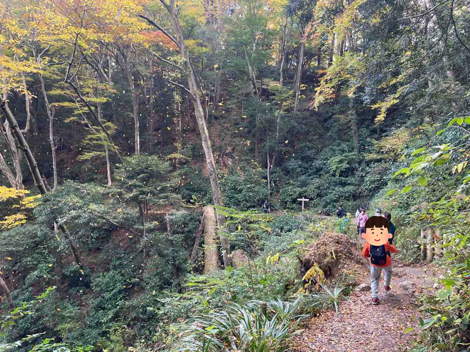 【高尾山】紅葉シーズン11月に子供と一緒に登ってみた！