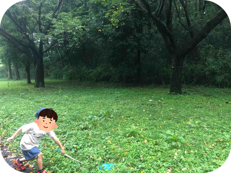 【多摩市 桜ヶ丘公園】カブトムシも！ハイキングも！小学生も幼児も楽しめる！