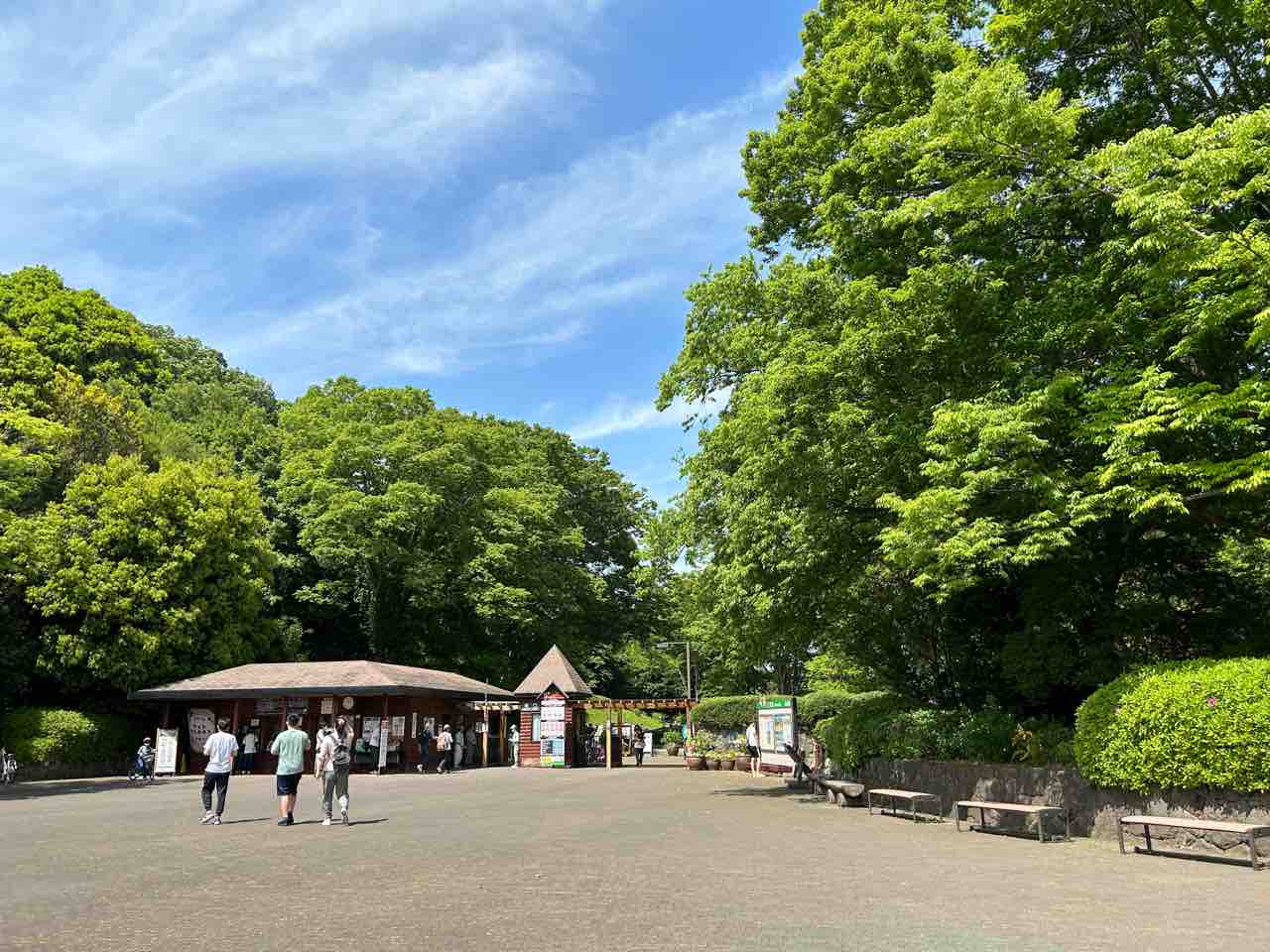 【埼玉 国営武蔵丘陵森林公園 】小学生も幼児も１日楽しめる公園！