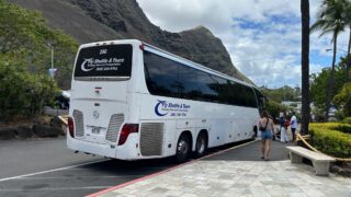 ハワイ【シーライフパーク 送迎バス】シャトルバスの乗り場や時間は？