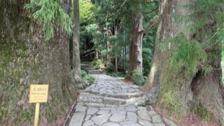 2025【和歌山 那智の滝】熊野古道を１時間ハイキングして滝へ向かう！