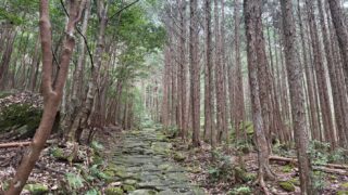 2025三重【馬越峠 熊野古道】小学生と歩く２時間ハイキング！