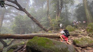 2025年【筑波山】小学生と登るのに難易度がちょうど良い！